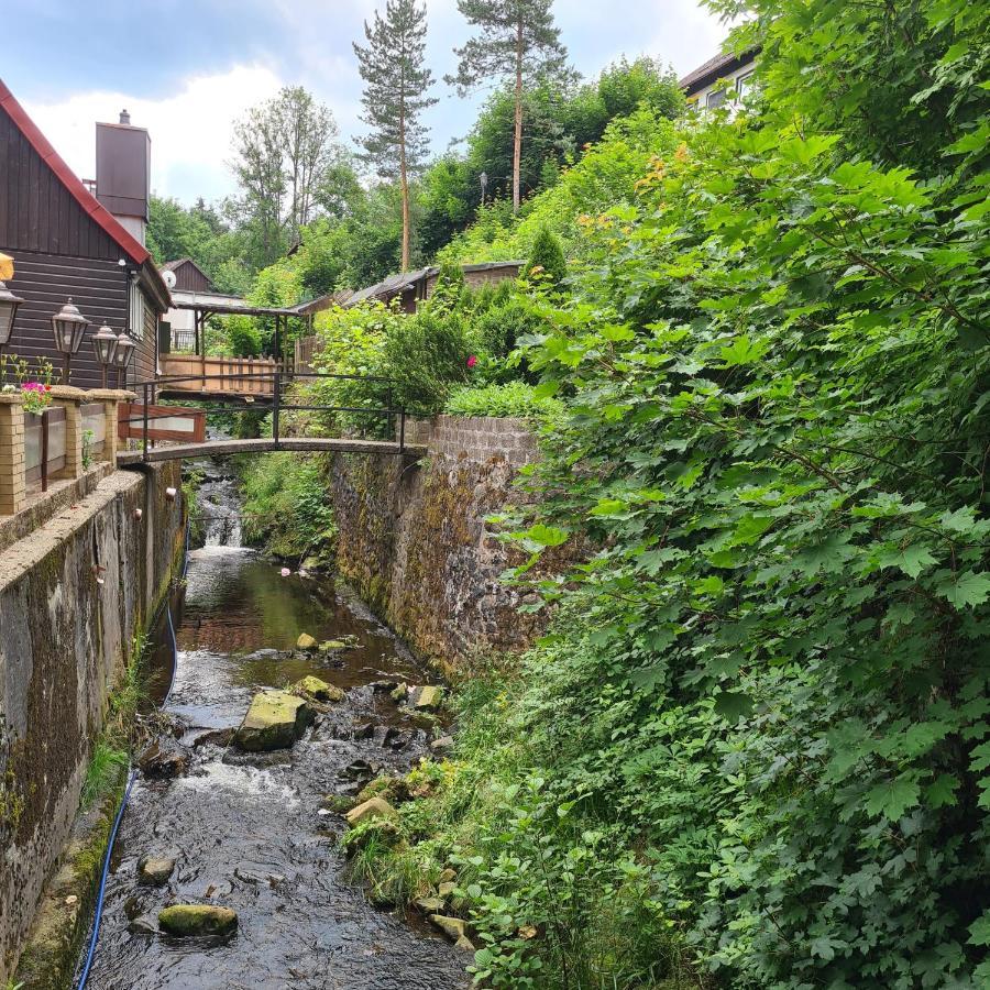 Harz Im Herzen Altenau  Luaran gambar